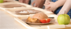Free school meals over the summer holiday