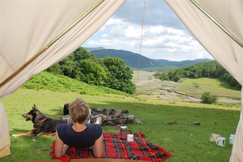 Camping-on-Graig-Wens-lower-felds3