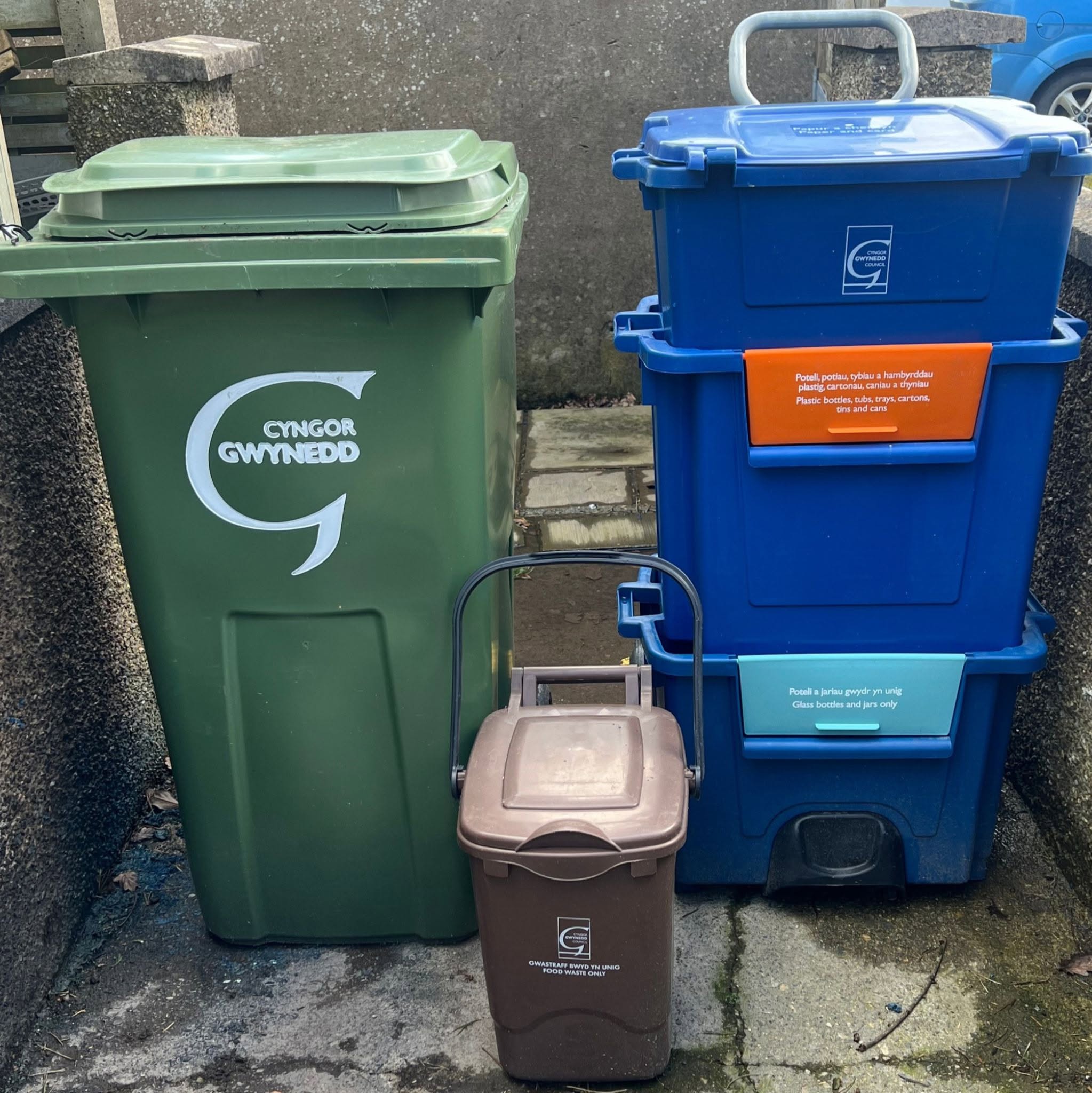 Green wheelie bin and cartgylchu