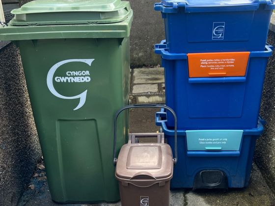 Green wheelie bin and cartgylchu
