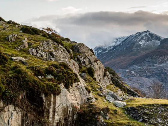 Bro Ogwen