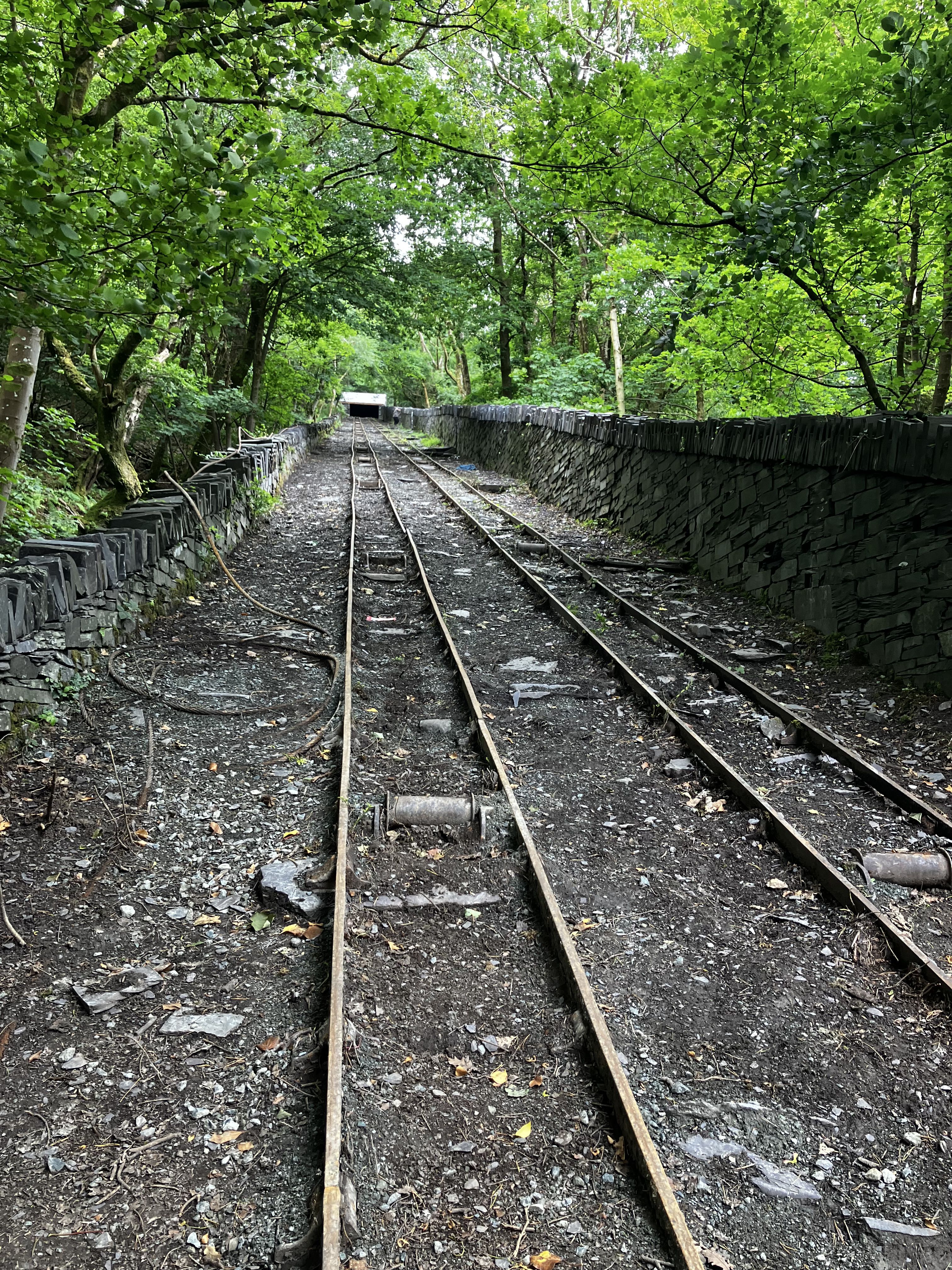 Railtrack at Parc Padarn