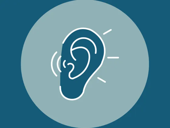 Drawing of an ear