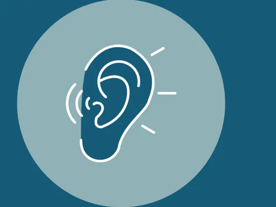 Drawing of an ear